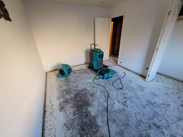 Trusted Rocky Mount, VA Water damage restoration Experts