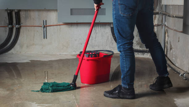 Best Fire Damage Restoration  in Rocky Mount, VA