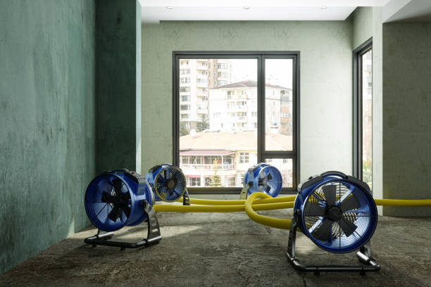Best Residential water damage restoration  in Rocky Mount, VA